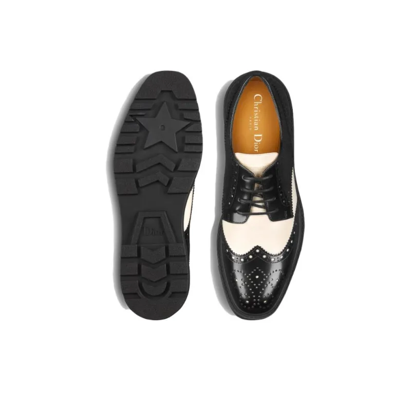 DIOR Teddy D Women's Casual Shoes Women's Black-3
