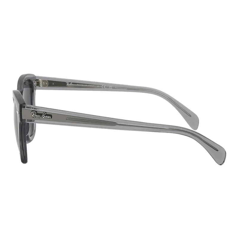 RayBan Wayfarer frame Sunglasses-3