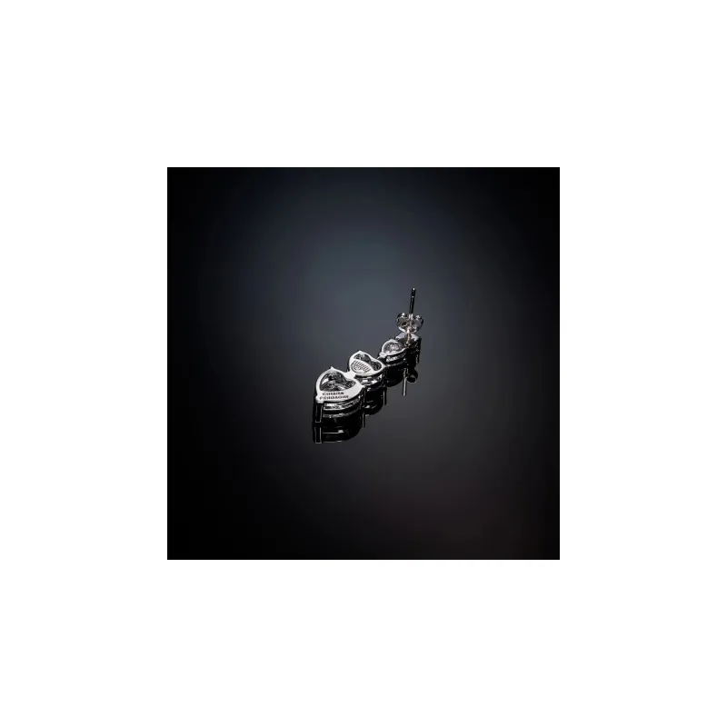 CHIARA FERRAGNI Zircon, Rhinestones, 18K Gold Plating Stud Earrings Women's Italian Luxury Silver Earrings-4