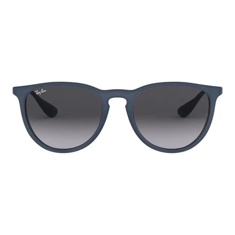 RayBan Erika Sunglasses-1