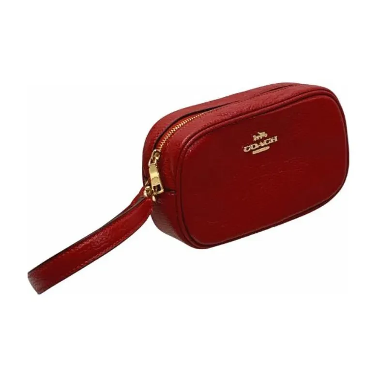 COACH Jamie Clutches-4