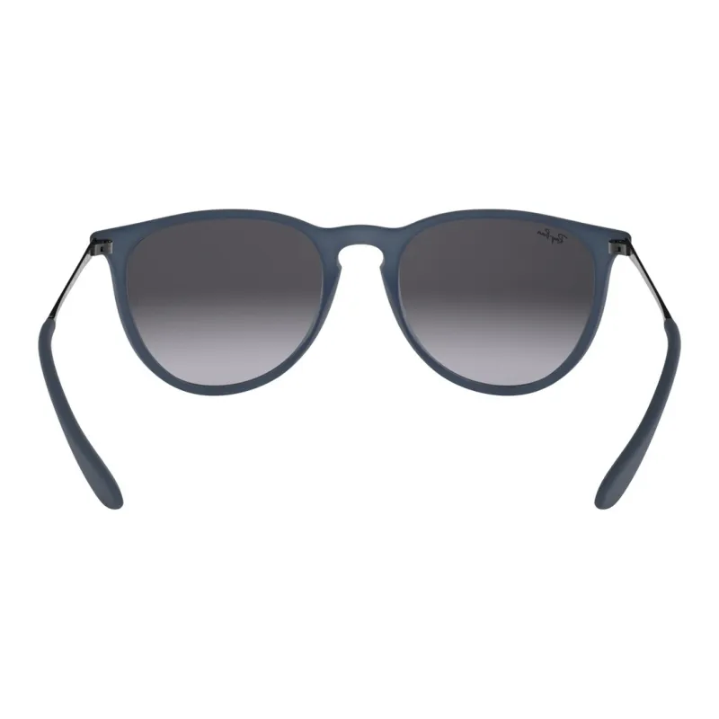 RayBan Erika Sunglasses-3