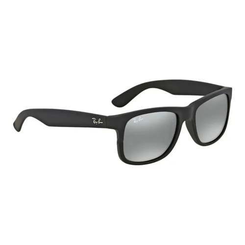 RayBan Nylon Irregular Shape Sunglasses Men's Black