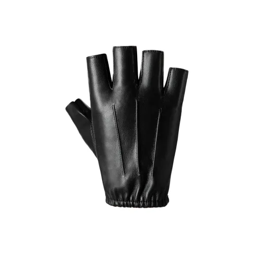 Famous ships Weightlifting Belts / Gym Gloves