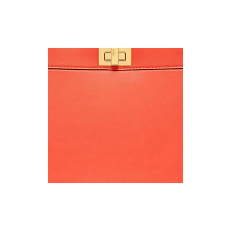FENDI Peekaboo Handbags-4