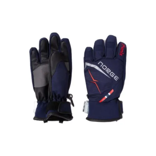 Phenix Ski Gloves