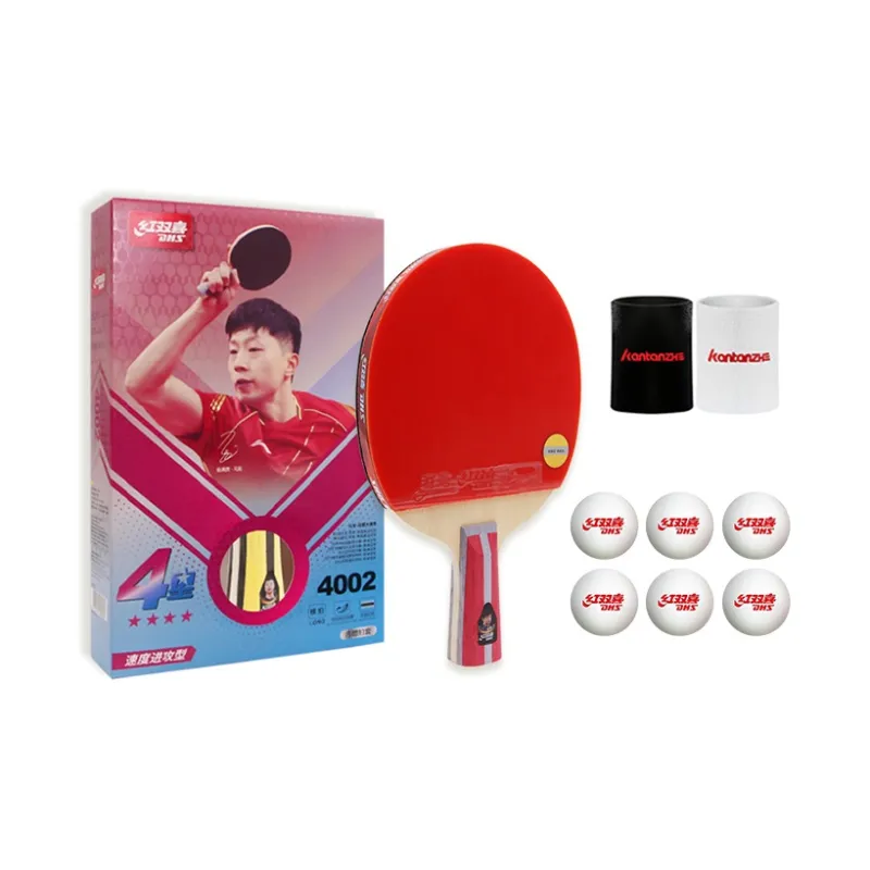 DHS Ping Pong Paddles-0