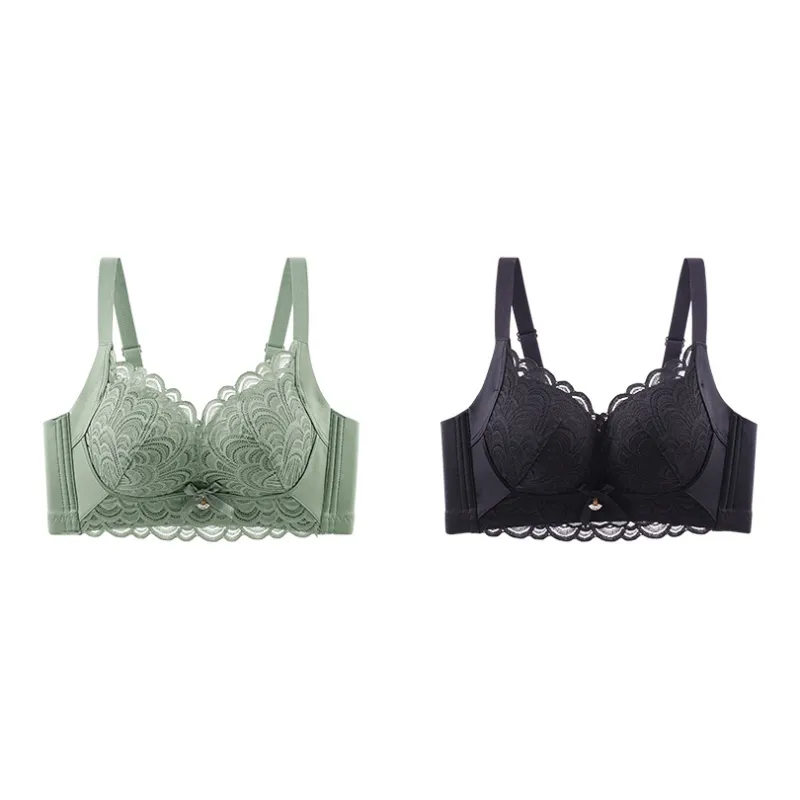 Lanza The Year Of The Dragon Series Bra Women's 2 Pack-126