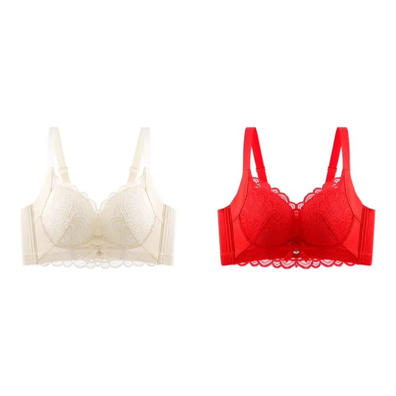 Lanza The Year Of The Dragon Series Bra Women's 2 Pack-114