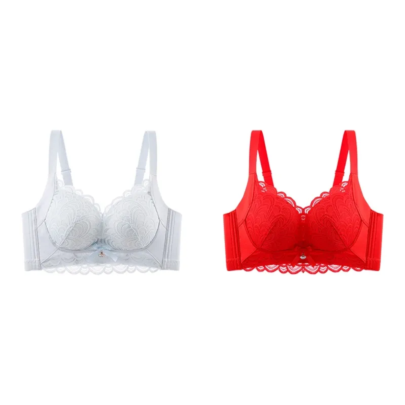 Lanza The Year Of The Dragon Series Bra Women's 2 Pack-102