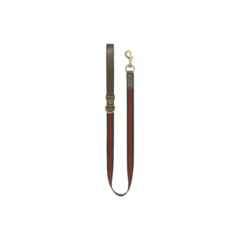 GUCCI Leashes