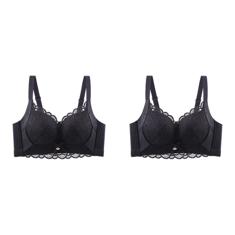 Lanza The Year Of The Dragon Series Bra Women's 2 Pack-58