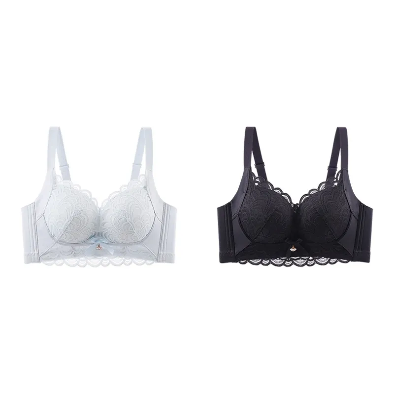 Lanza The Year Of The Dragon Series Bra Women's 2 Pack-162