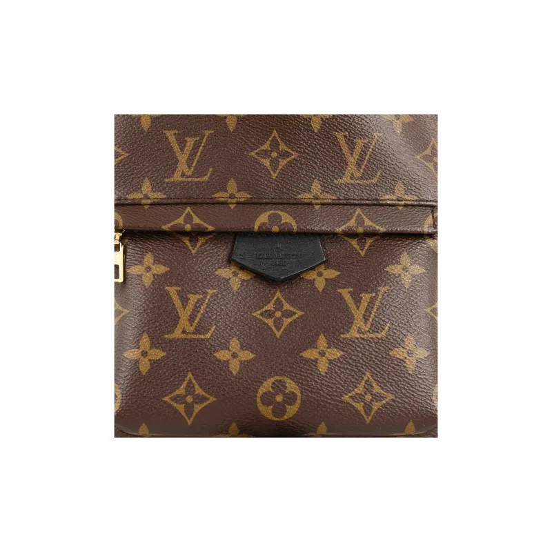 LOUIS VUITTON Palm Springs Monogram Updated Zipper Pm-8