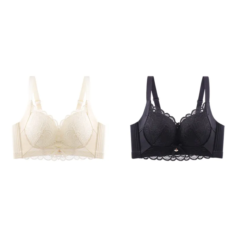 Lanza The Year Of The Dragon Series Bra Women's 2 Pack-172