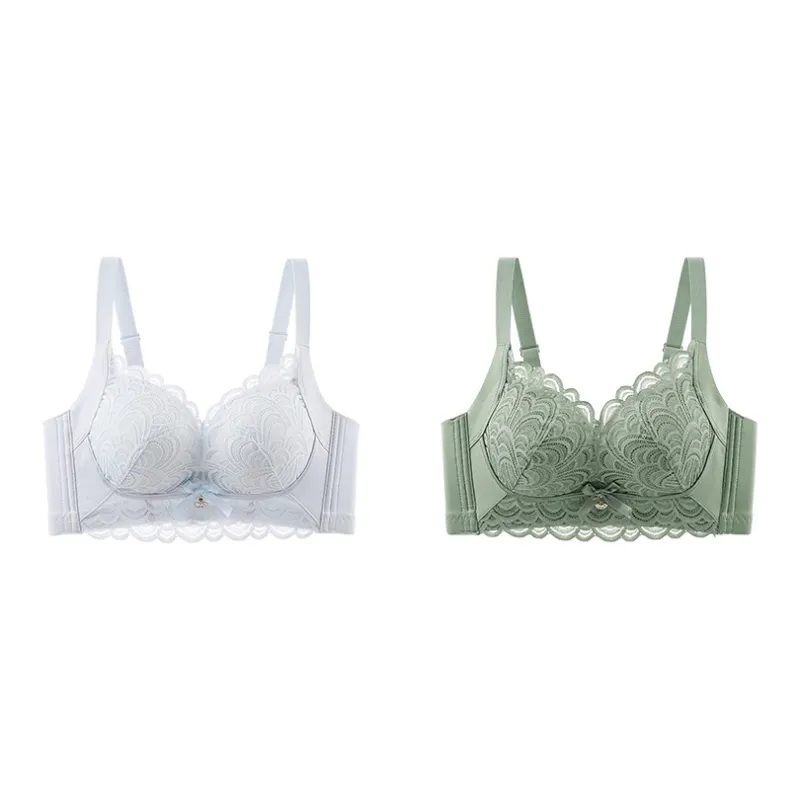 Lanza The Year Of The Dragon Series Bra Women's 2 Pack-150