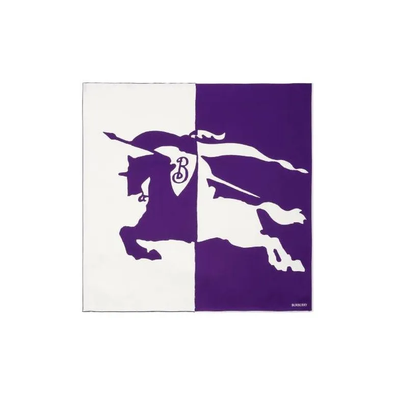 Burberry Silk Scarves Unisex Purple-0