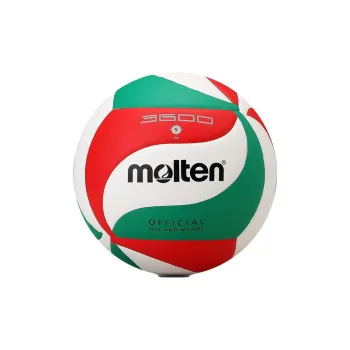 Molten Volleyball