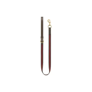 GUCCI Leashes