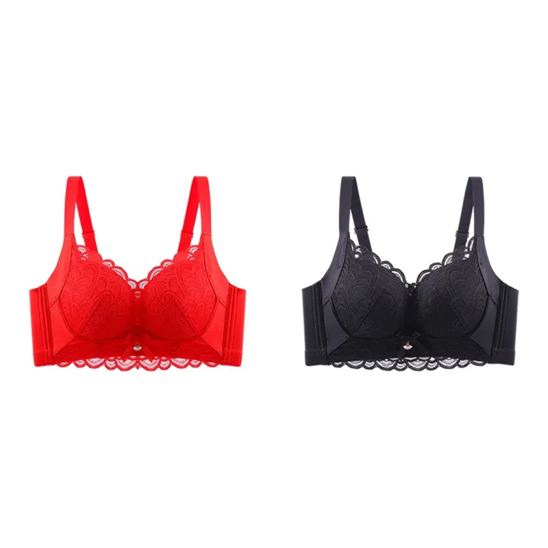 Lanza The Year Of The Dragon Series Bra Women's 2 Pack-92