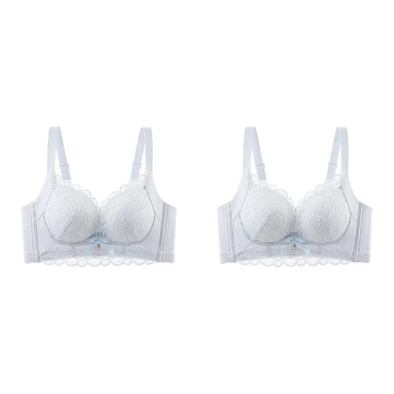 Lanza The Year Of The Dragon Series Bra Women's 2 Pack-74