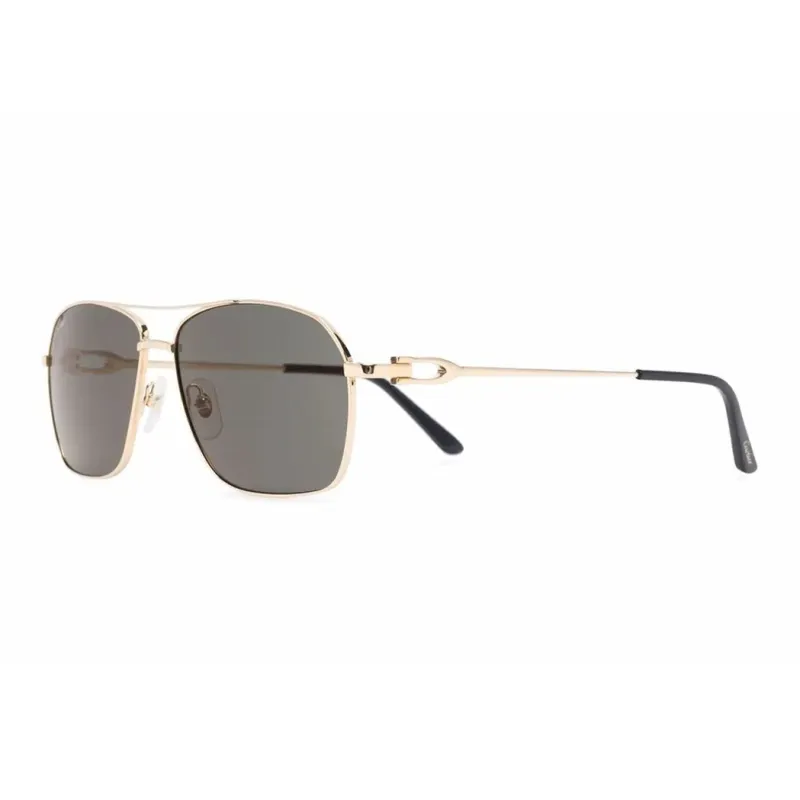 CARTIER Eyewear CT0306S Navigator Sunglasses-0