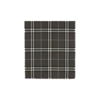 Burberry Scarves Women's