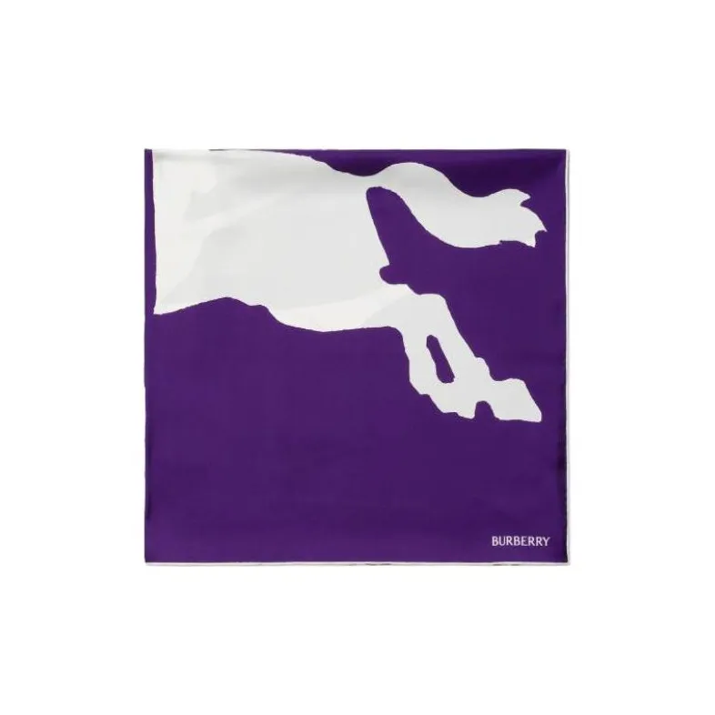 Burberry Silk Scarves Unisex Purple-2