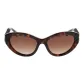 Tortoiseshell