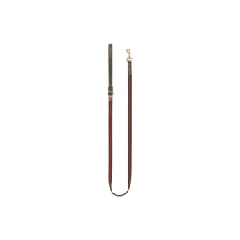 GUCCI Leashes