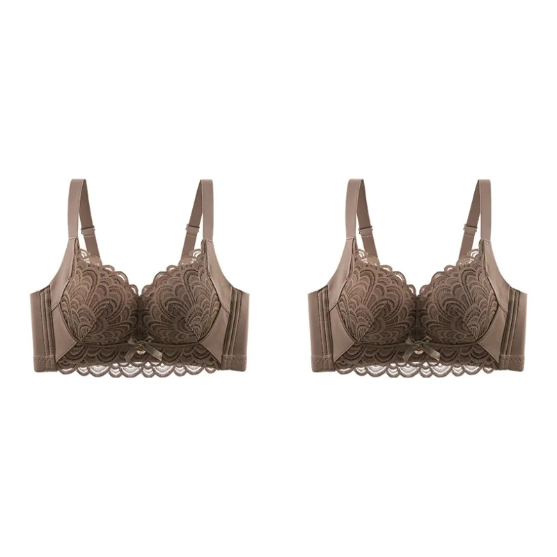 Lanza The Year Of The Dragon Series Bra Women's 2 Pack-66