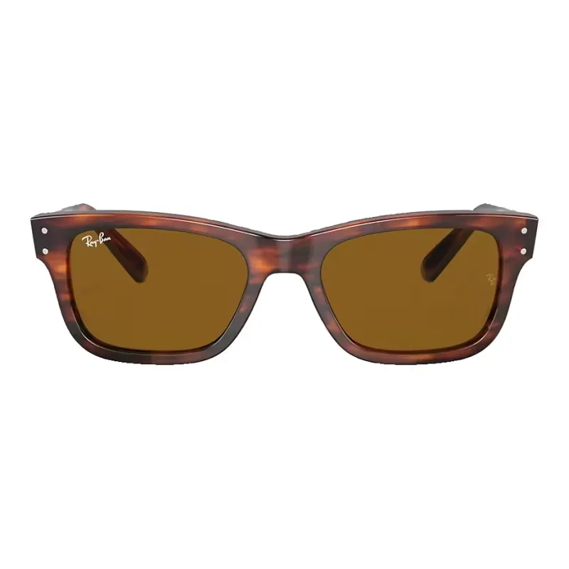 RayBan Mr Burbank Rectangular frame Sunglasses-1