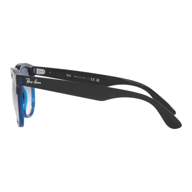 RayBan Plastic Oval Sunglasses Unisex Black-2