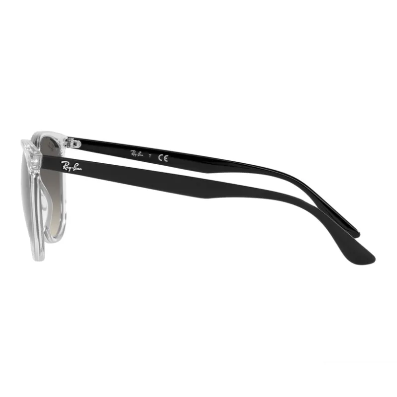 RayBan Round Frame Sunglasses-2