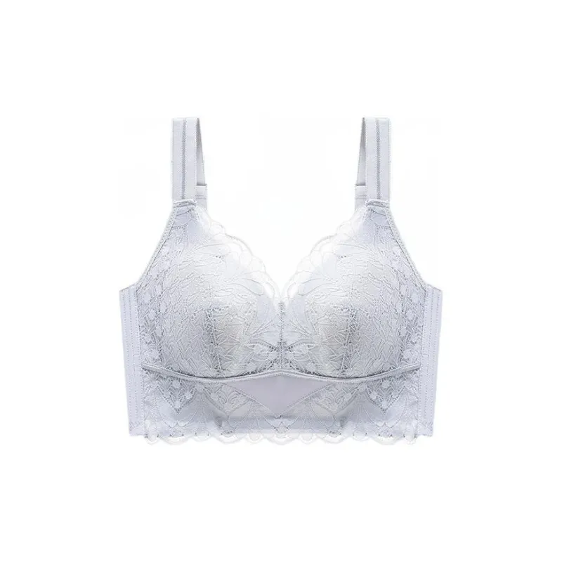 Lanza Women's Bras-0