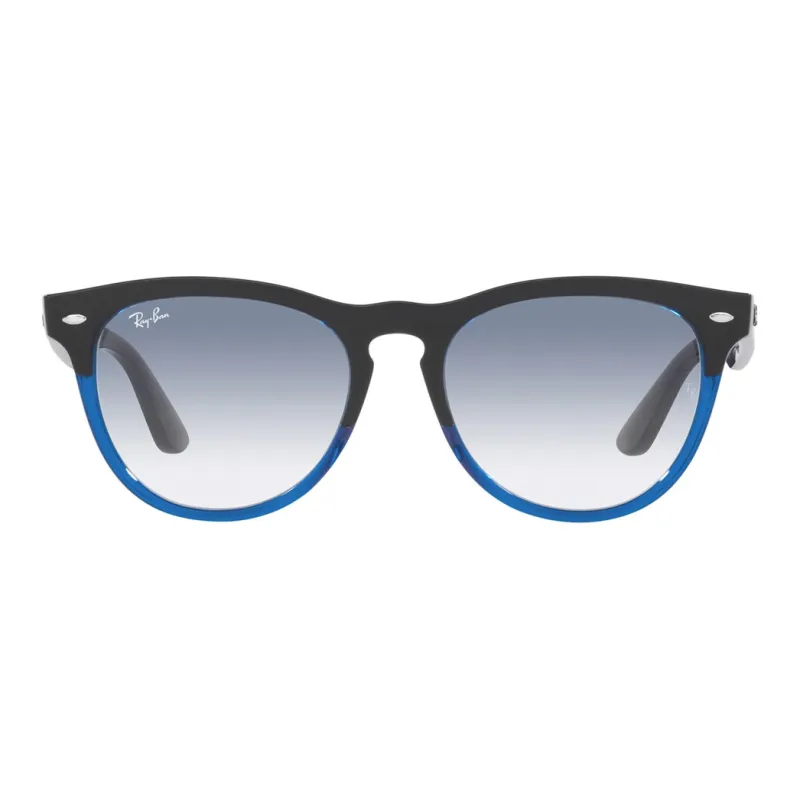 RayBan Plastic Oval Sunglasses Unisex Black-1