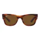 Tortoiseshell
