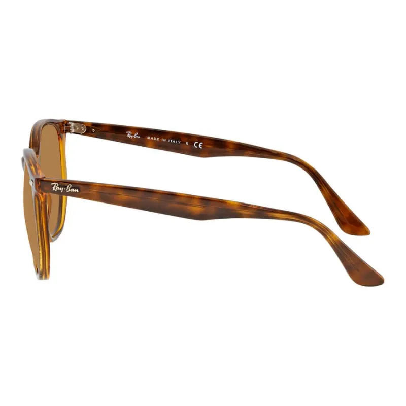 RayBan RB4306 Hexagonal Frame Polarised Sunglasses-2