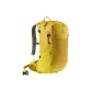 Ginger Yellow