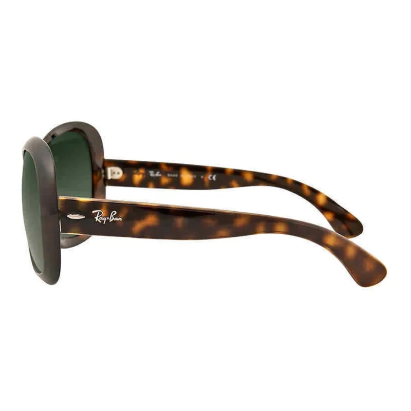 RayBan Jackie Ohh Sunglasses-2