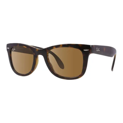RayBan Wayfarer-frame Sunglasses