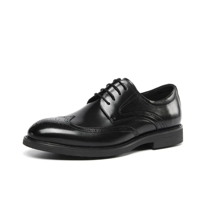 STEVE MADDEN Dress Shoes Men Low Top Black/Brown-1