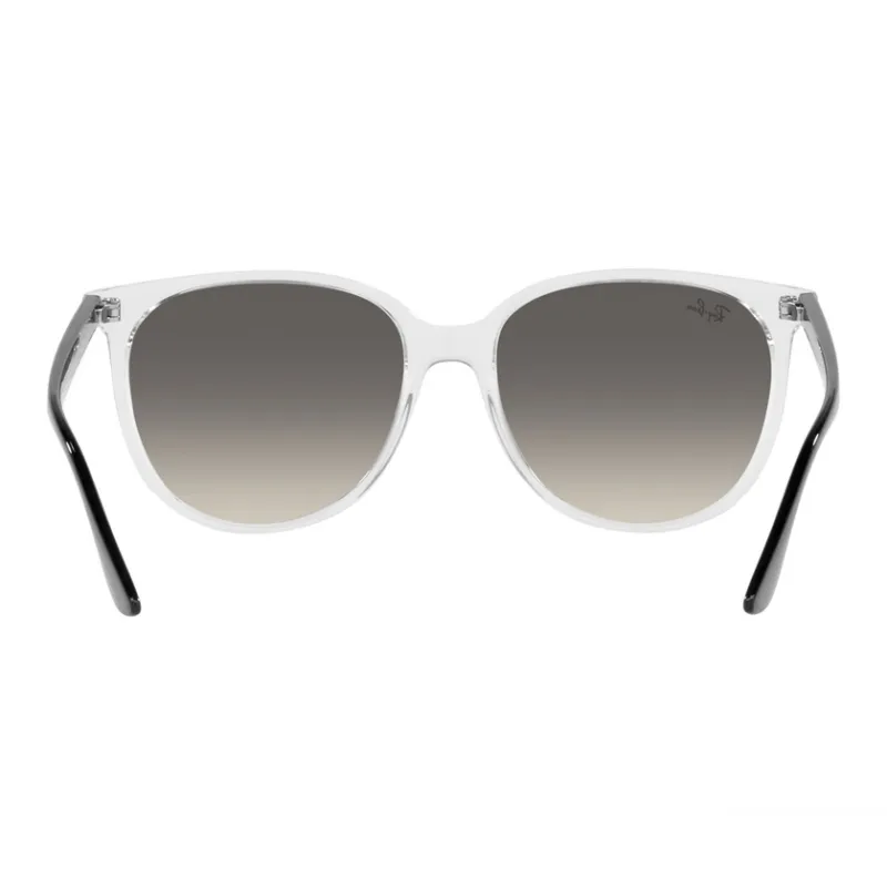RayBan Round Frame Sunglasses-3