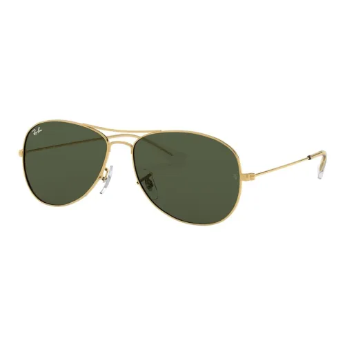 RayBan Aviator Ii Oversized Sunglasses
