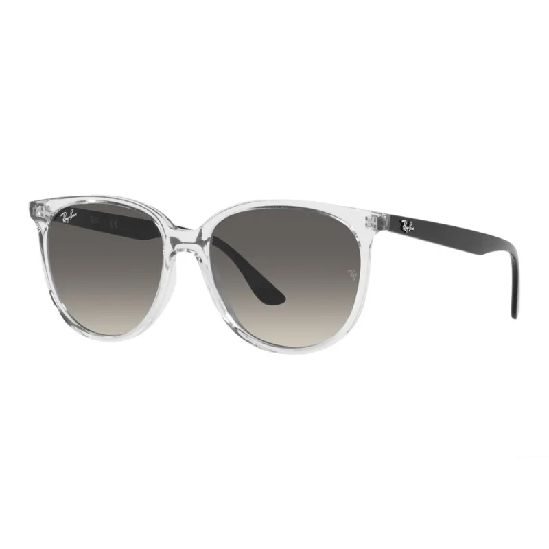 RayBan Round Frame Sunglasses-1