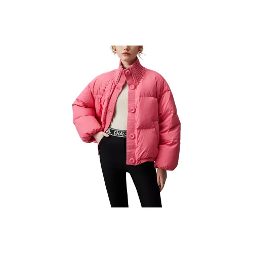 DFVC Down Jackets Women's Rose Red