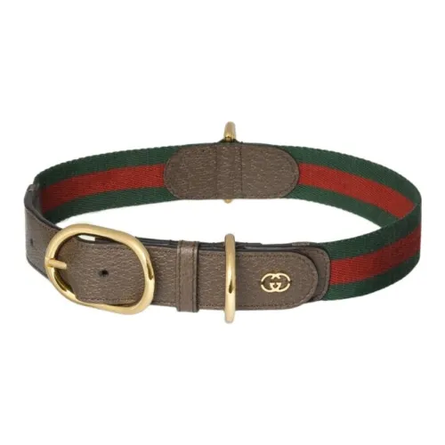 GUCCI Dog / Cat Collars