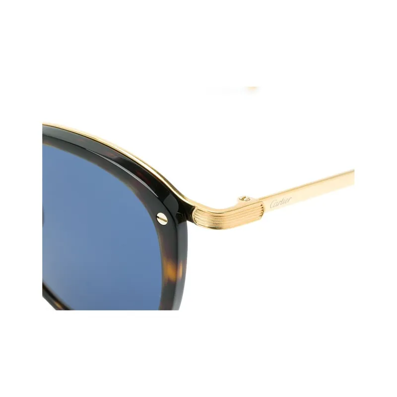 CARTIER Acetate Round Sunglasses Women's Tortoiseshell-2