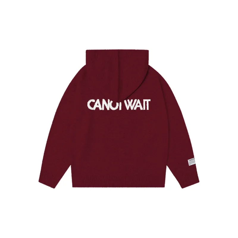 CANOTWAIT_ Hooded Pullover Sweater For Fall And Winter Unisex-16