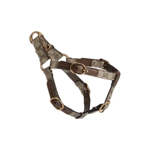GUCCI Leashes